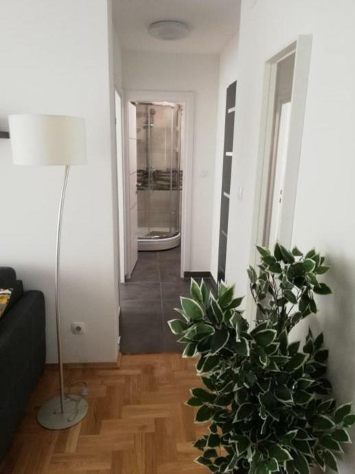 Apartments Ali Загреб Экстерьер фото